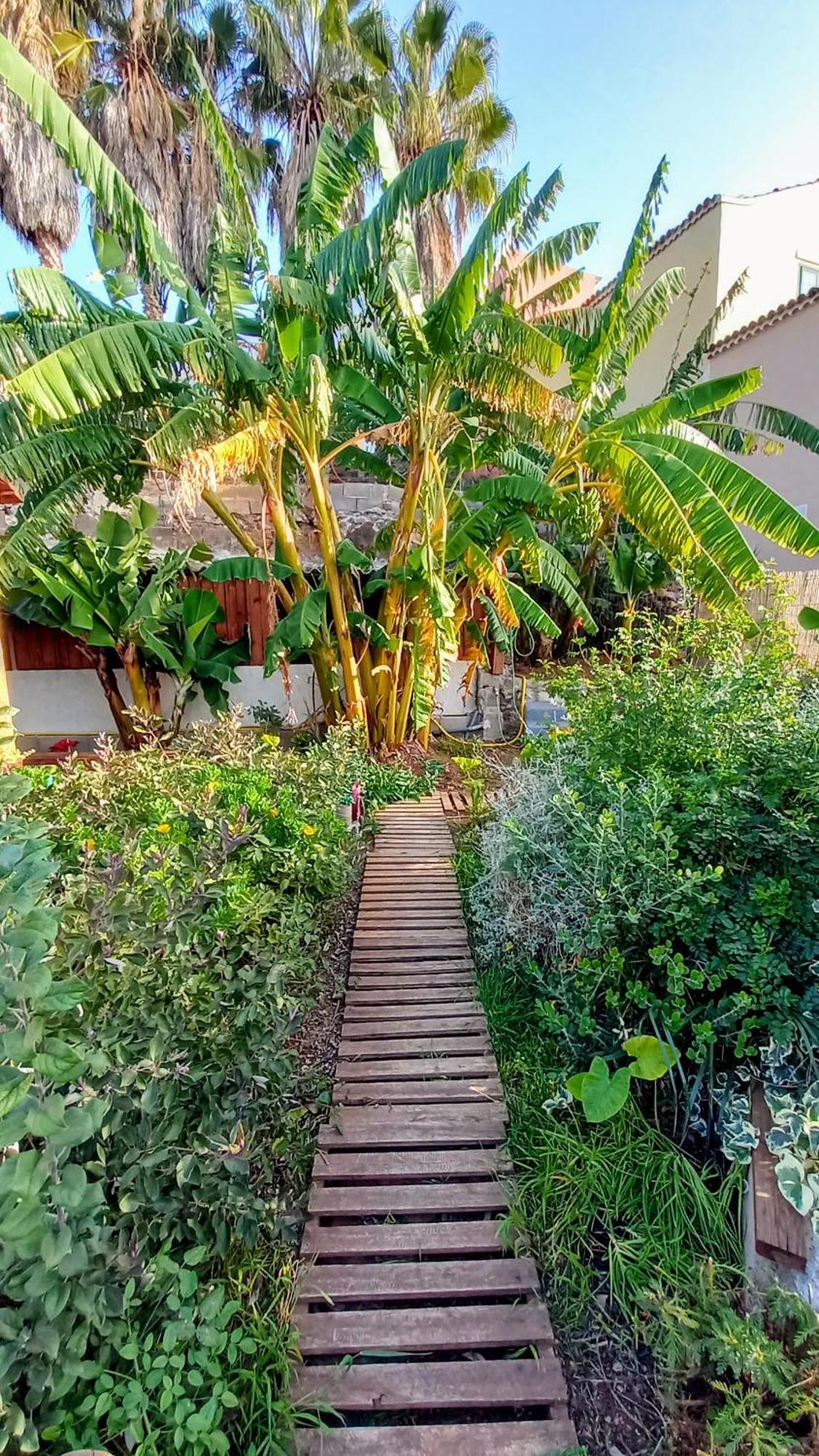 Finca Don Pedro Santa Cruz de Tenerife Exteriér fotografie